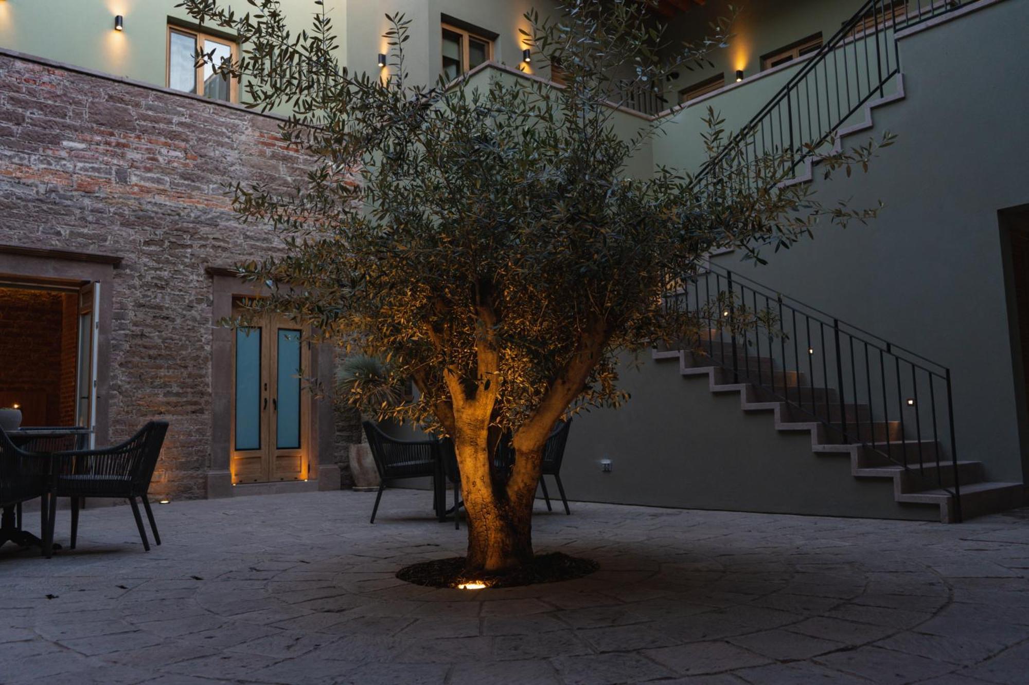 Hotel Casa Aranzazu San Luis Potosi Exterior photo